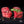 Steakhouse Trio